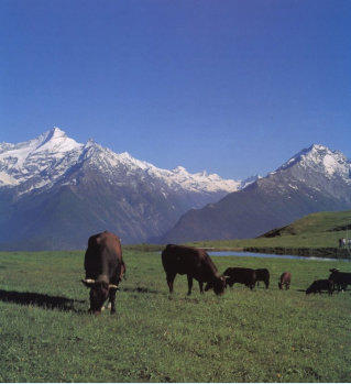 Aoste30