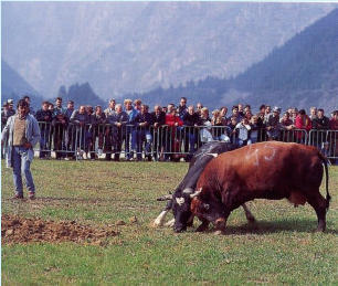 Aoste35